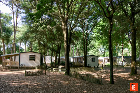 Franchise Camping Paradis 10