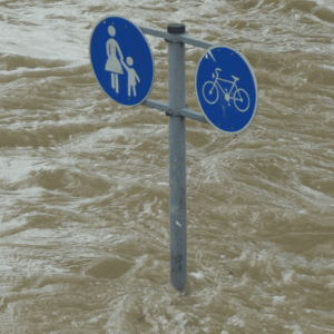 franquicias desastres naturales