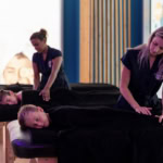 iris willy spa logo 115