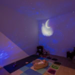 iris willy spa logo 159