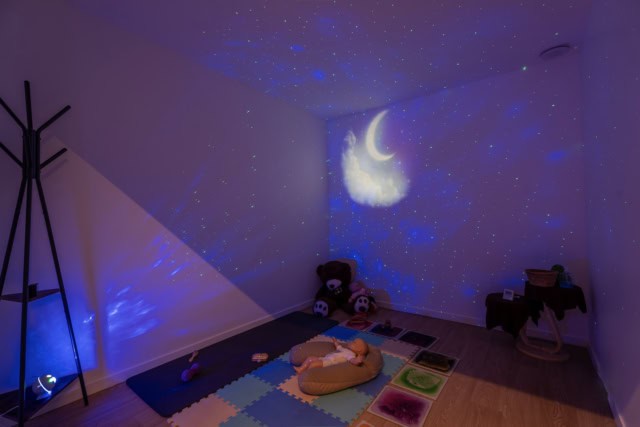 iris willy spa logo 159